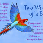 Rumi’s birds' wings